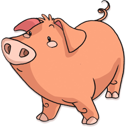 pig