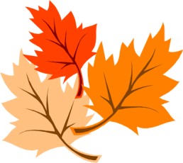 fall-leaves-autumn-4